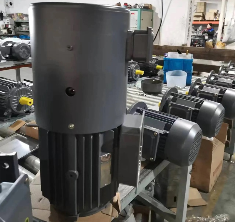 GTFI electric motor selection guide